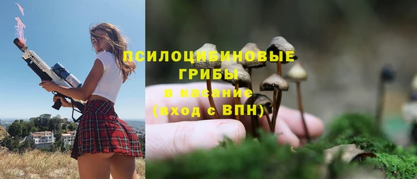 гидропоника Алексин